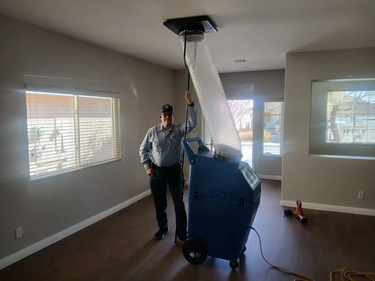 Professional Dryer Vent Cleaning work inside a Freeport home